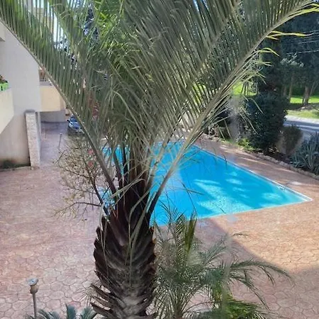 Bright Cozy Escape *